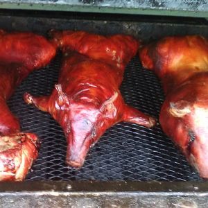 Meet your Posher, Donny